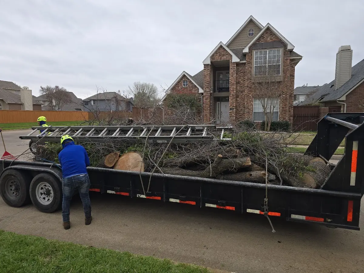 Expert Tree Removal with proper safety equipment in Horseshoe Bend